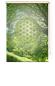 Preview: Extartiqe Duschrollo - Blume des Lebens green dream